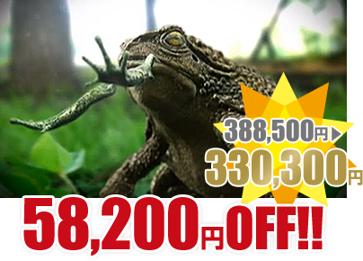 58,200円OFF! 388,500円→330,300円